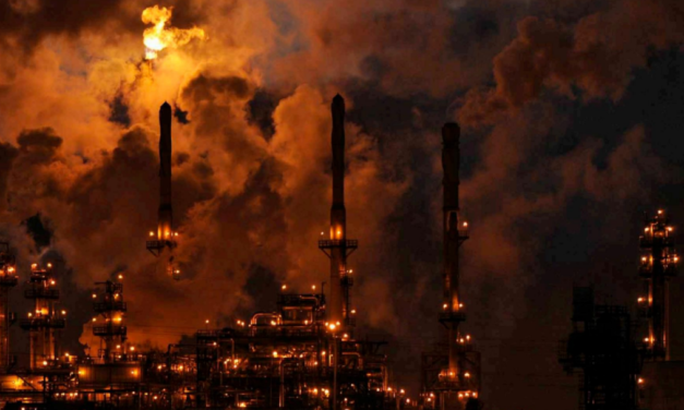 El mito de la sobrepoblación (3): la realidad