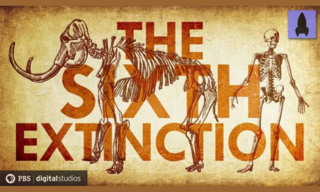 La 6° Extinción Masiva (2): ¿Qué está pasando?
