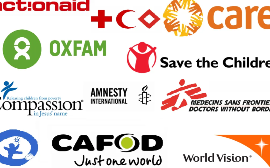 El drama con las fundaciones y el ONGismo