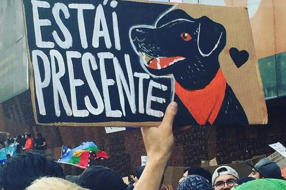 Con el negro Matapacos  ¡No!