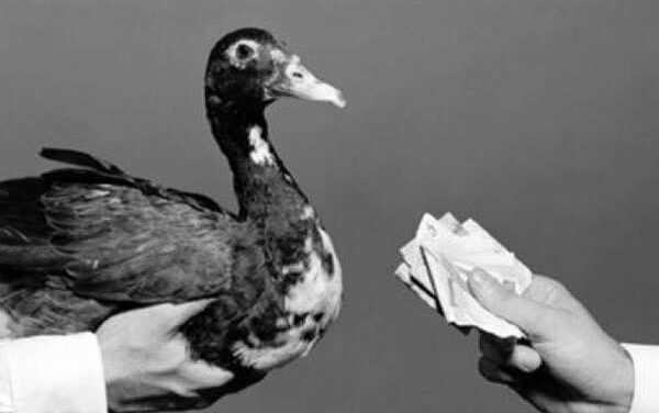 Quién va a pagar el Pato?